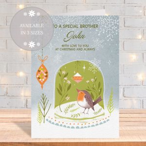 Snow Globe Robin 10
