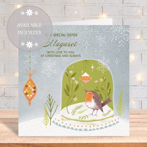 Snow Globe Robin 11