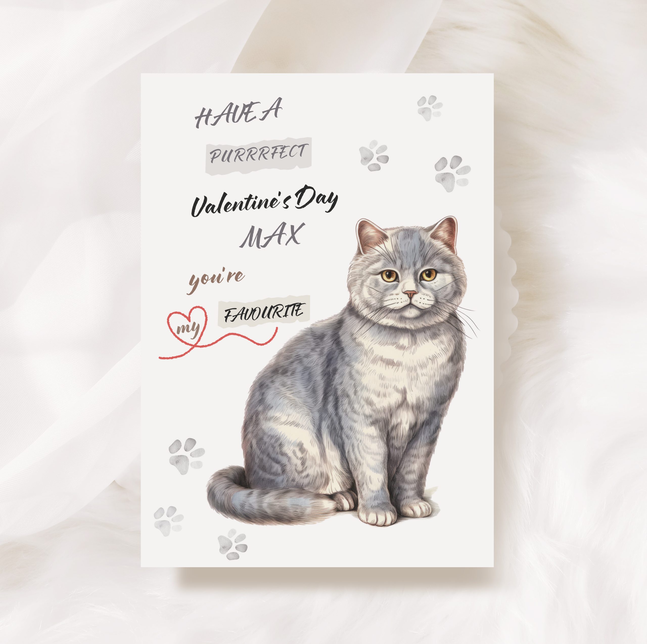Grey Cat Valentine's Card