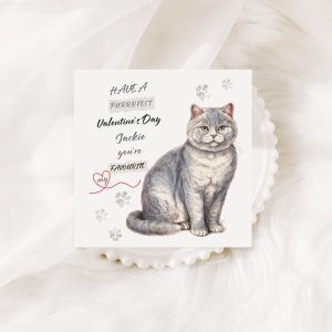 Grey Cat Valentine’s Card