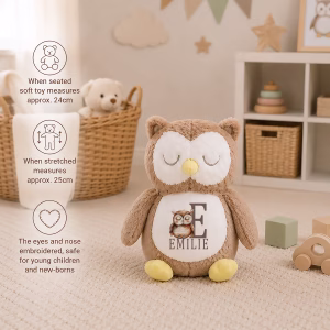 Personalised Owl Toy