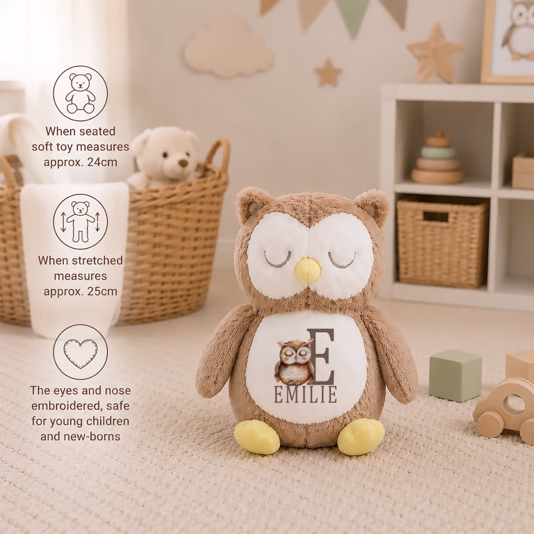 Baby’s Personalised Owl Soft Toy