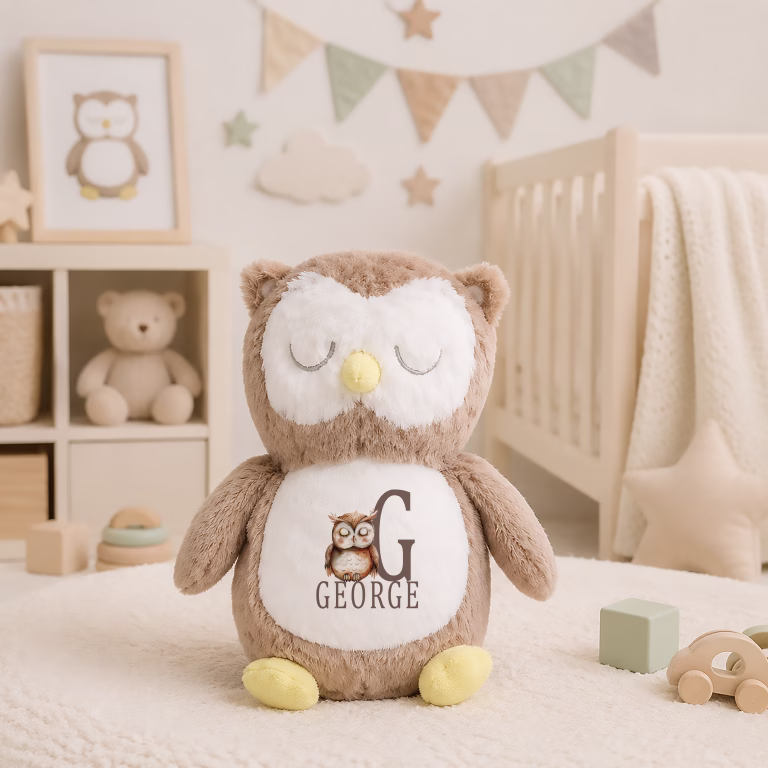 Baby’s Personalised Owl Soft Toy