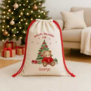 Kids Teddy Bear Christmas Sack