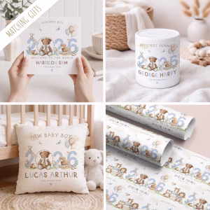 New Baby Money Boxes